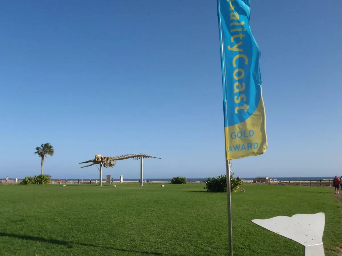 Clara'S Sun Apt Morro Jable  Morro Jable (Fuerteventura)